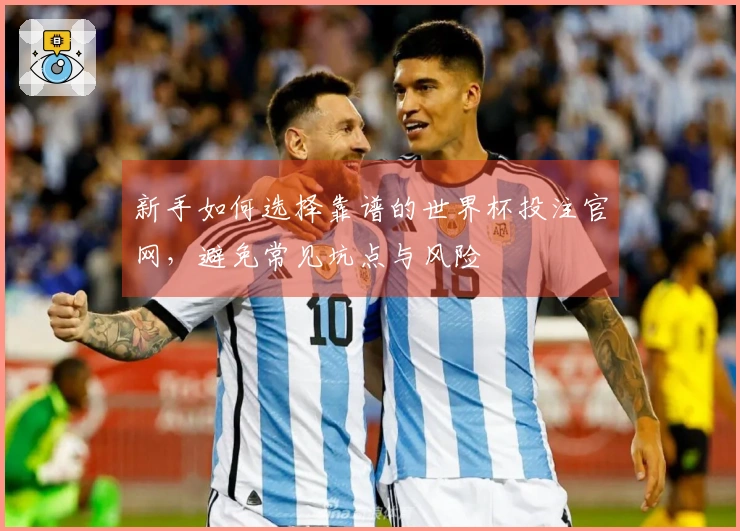 新手如何选择靠谱的世界杯投注官网，避免常见坑点与风险