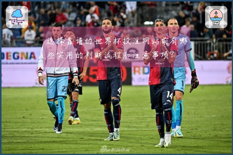选择靠谱的世界杯投注网站前有哪些实用的判断流程和注意事项?