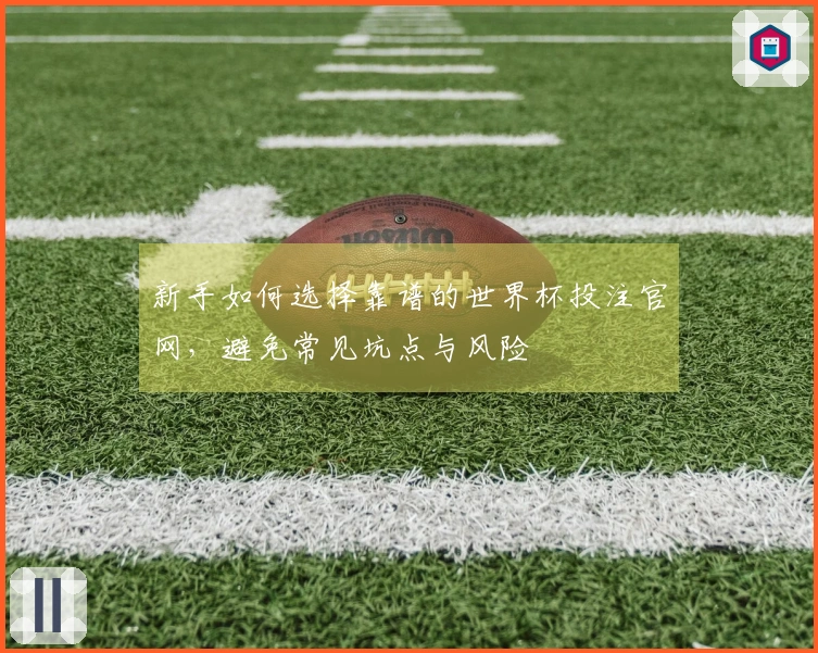 新手如何选择靠谱的世界杯投注官网,避免常见坑点与风险